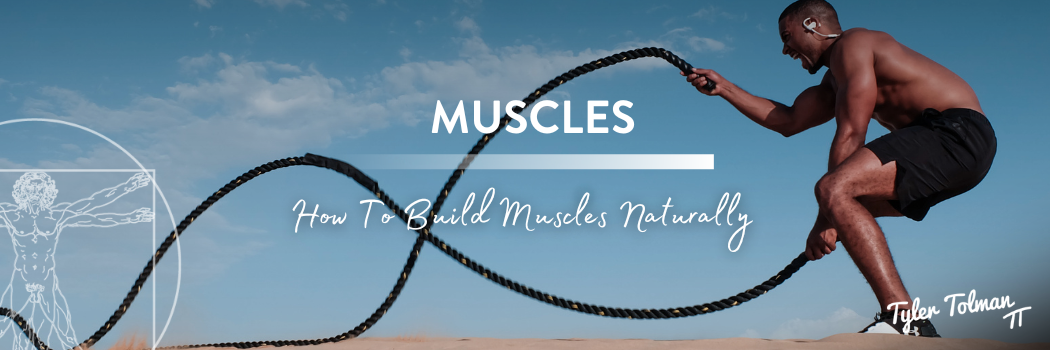 How To Build Muscles Naturally
