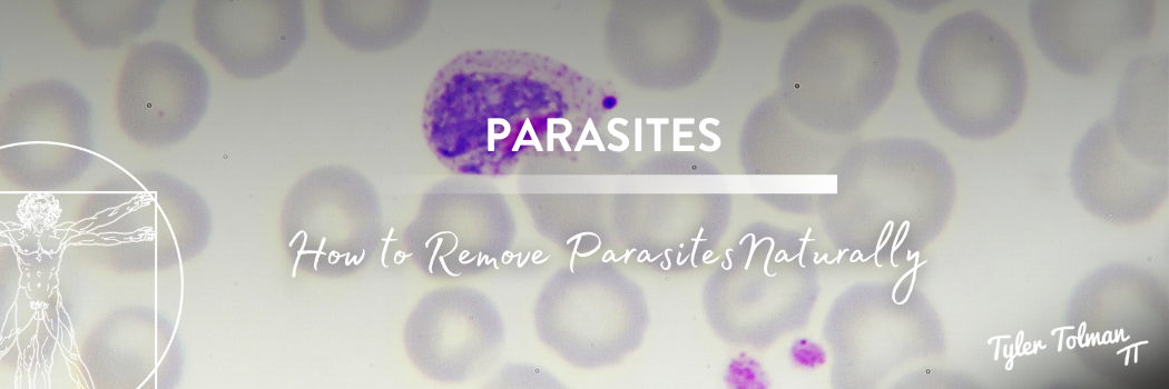 How to Remove Parasites Naturally