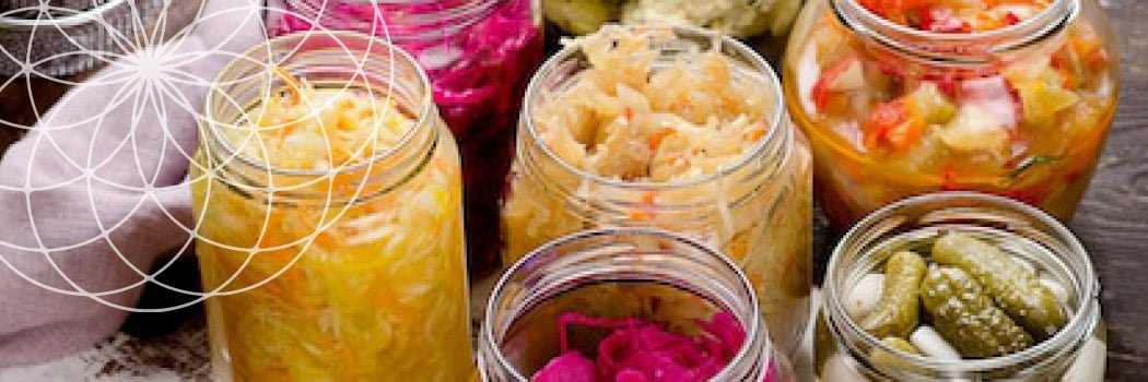 fermented foods healthy gut