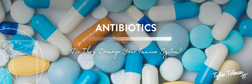 Antibiotics Damage Immune System