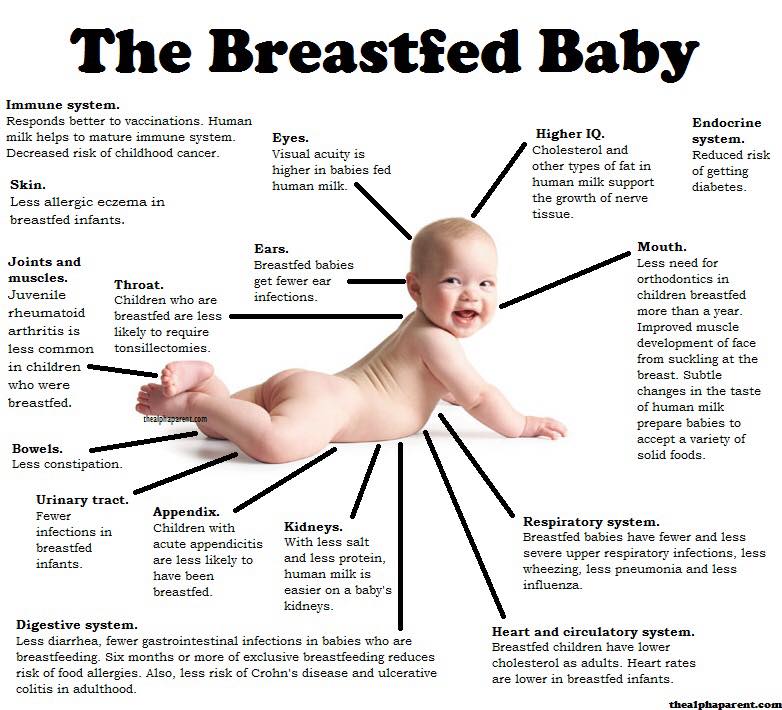breastfed-chart
