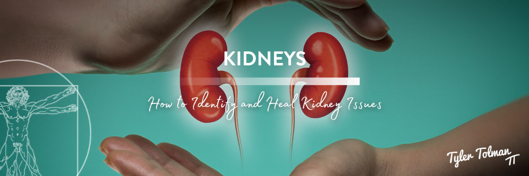 Heal Kidney Issues